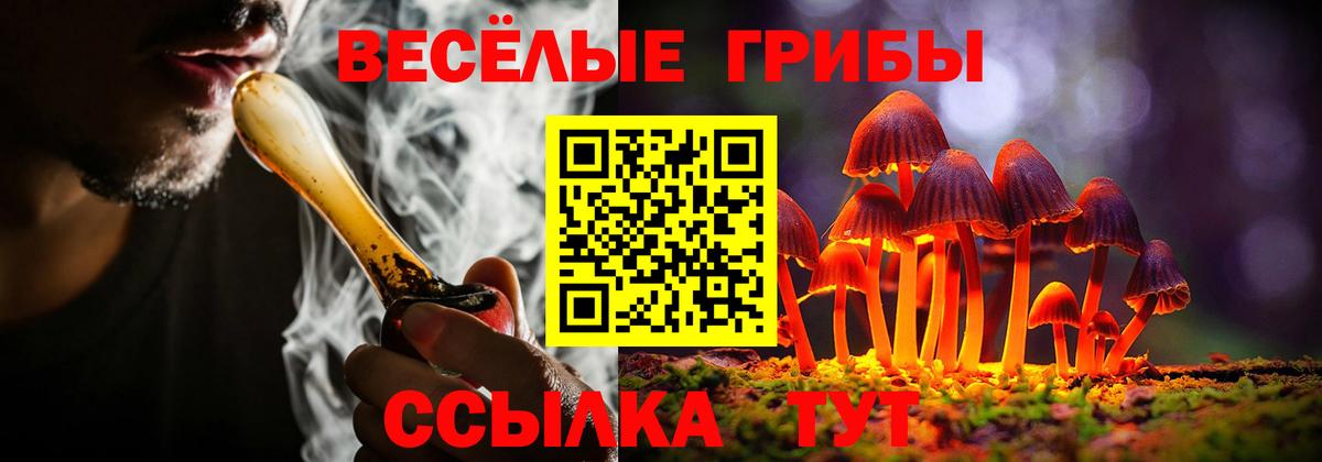 Галлюциногенные грибы MAGIC MUSHROOMS  Псилоцибиновые грибы прущие грибы  Вход с VPN  Тара 